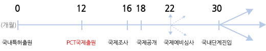 PCT에 의한 출원방법